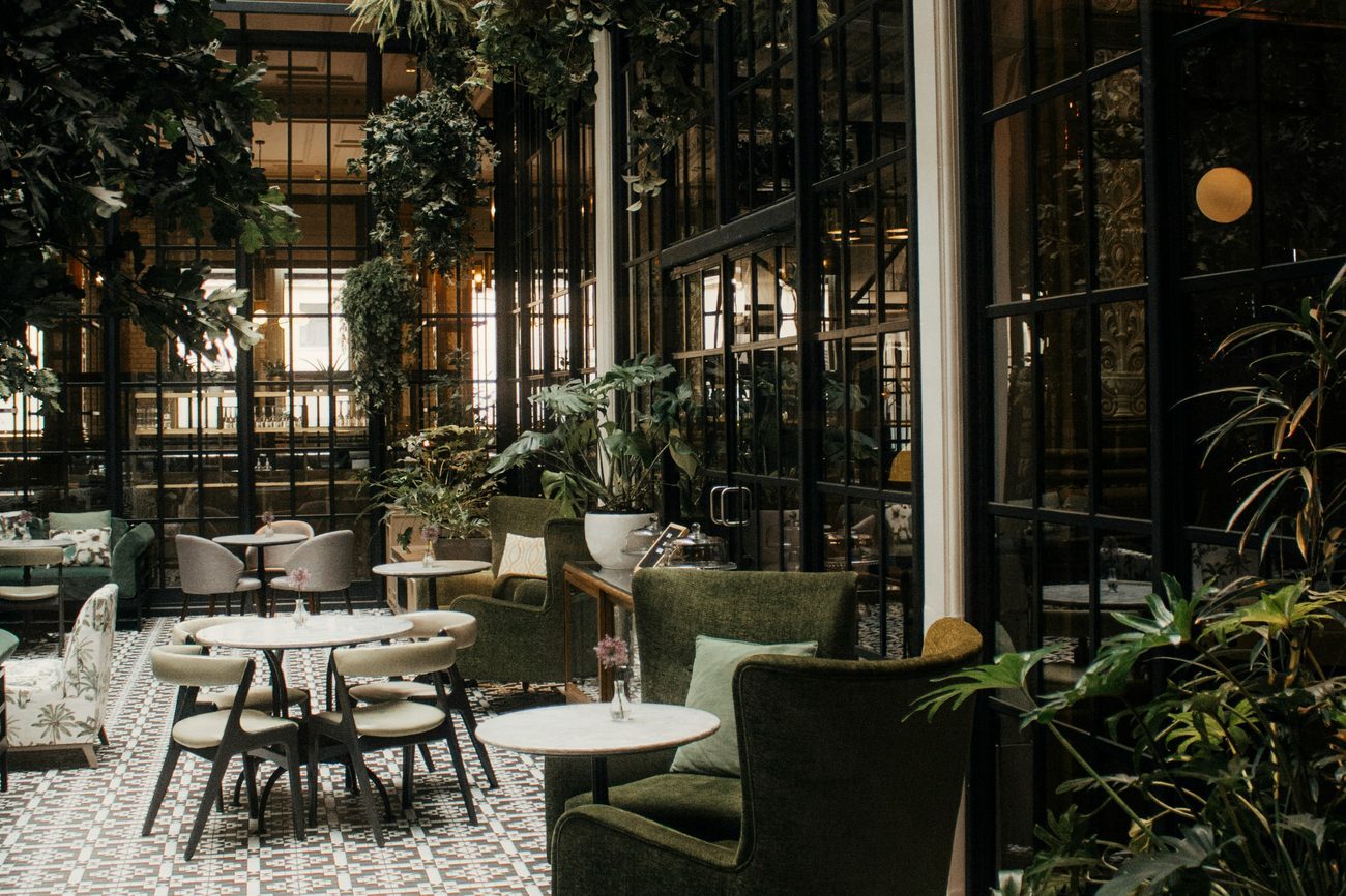 La verrière, lumière du jour et plantes